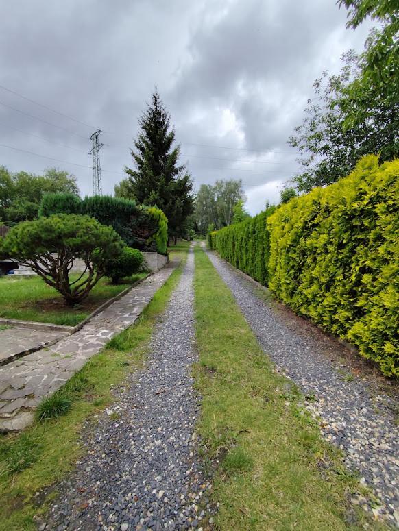 Apartman Terezka Jilove Exterior photo