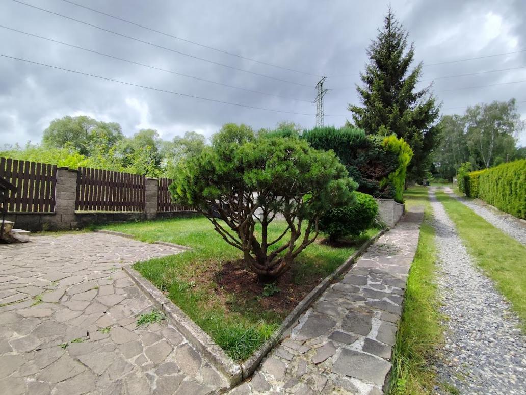Apartman Terezka Jilove Exterior photo